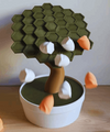 Orbit Bonsai Game